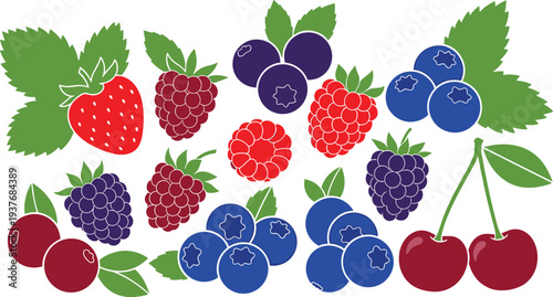 Colorful berry fruit vector illustration with strawberries, raspberries, blueberries, cherries, cranberries, gooseberries, decorative design for food and nutrition themes