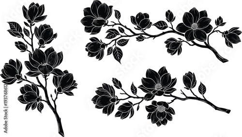 Magnolia flower branch silhouette vector illustration, botanical floral art design, decorative black outline blossoms and leaves composition