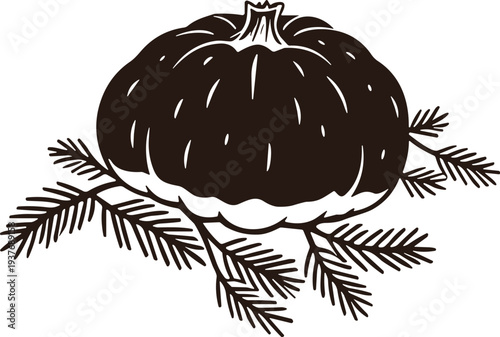 Stylized black and white pumpkin with pine branches, festive decorative vector illustration for autumn, winter, holiday, and seasonal design themes