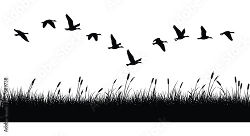 A flock of birds flies over a field of tall grass depicted in stark black silhouette high quality