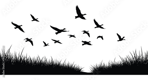 A flock of birds takes flight over a grassy field and calm water a striking silhouette high quality