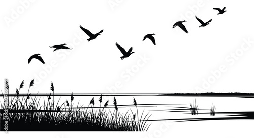 A flock of birds in flight over a marshland landscape depicted in stark silhouette high quality professional detailed