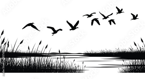 A striking black and white depiction of flying birds over reeds and water a beautiful silhouette high quality