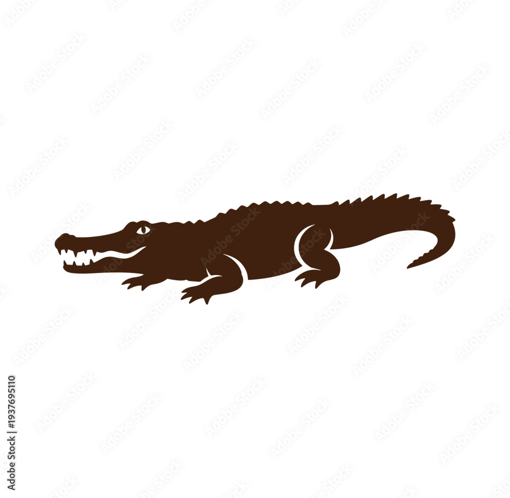 Obraz premium Brown crocodile standing on white background with open mouth and sharp teeth