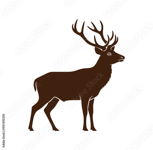 brown deer with large antlers standing on white background