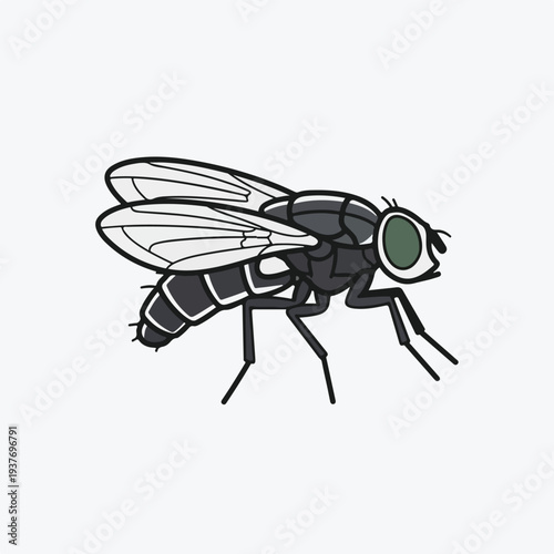 A black and white illustration of a fly with large green eyes