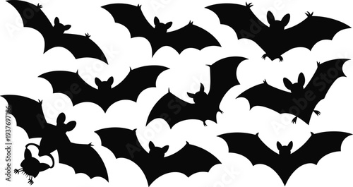 Flying bat silhouette pattern set, spooky halloween decoration concept, dark gothic night creatures, black vector isolated illustration