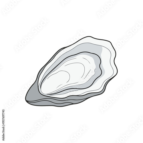 Open oyster shell with visible interior layers on white background