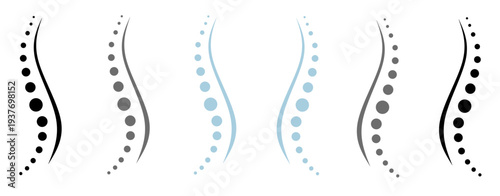Spinal column silhouettes in various colors and styles, perfect for chiropractic, orthopedic, healthcare, and wellness branding identity