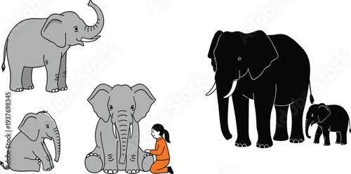 Elephant Illustration Set Featuring Adult and Baby Elephants with Caretaker, Different Poses and Silhouettes for Wildlife, Safari, Animal Education, and Nature Vector Designs