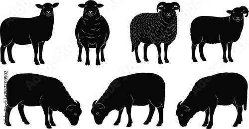 Sheep Silhouette Collection Featuring Ram With Horns Ewe Standing And Lamb Grazing Set Of Farm Animal Vectors Isolated On White Background For Agriculture Design