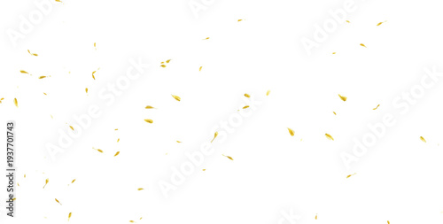 Delicate golden leaf shapes gently drifting down on a stark white background, creating an elegant and airy festive atmosphere for special occasions.