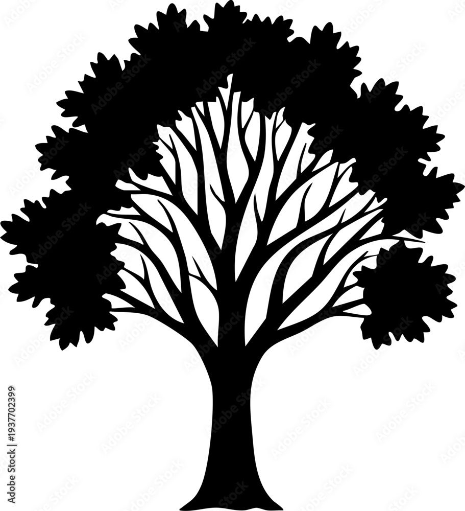 Obraz premium Leafy tree silhouette nature symbol