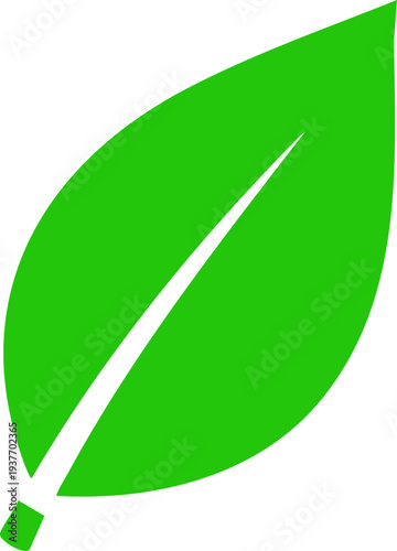 Minimalist leaf plant symbol green
