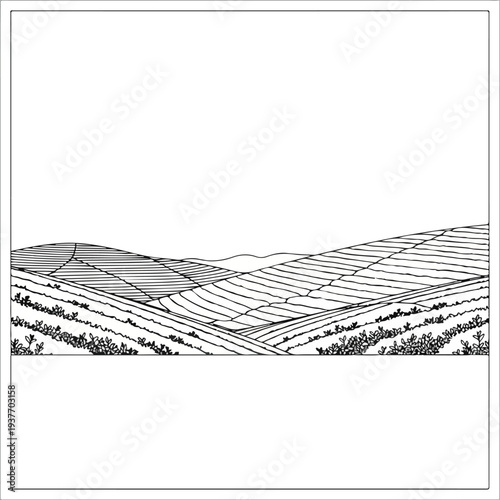 Vineyard landscape with rolling hills and rows of vines