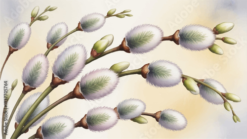 Willow branches with catkins in springtime soft green and purple buds on delicate stems against a warm sunny background