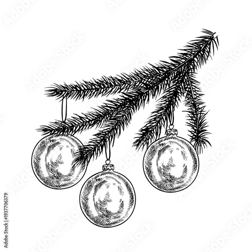 A spruce branch decorated with Christmas tree ornaments. Black and white graphics handmade vector illustration. An element of your Christmas and New Year design for greeting cards, packaging and more