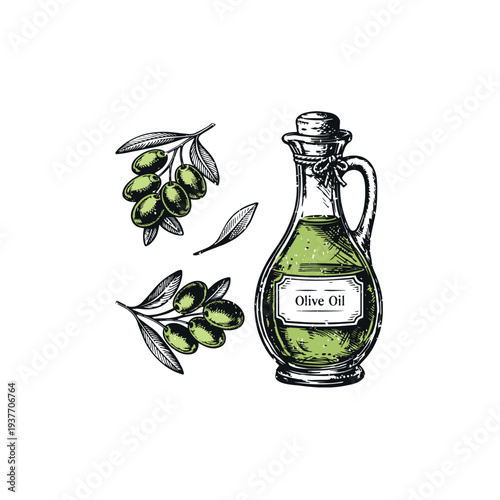 bottle olia vector sketch set