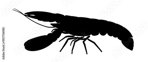 Black lobster silhouette isolated on transparent background. Marine crustacean side view illustration ideal for seafood menus, logos, restaurant branding, and ocean-themed designs.