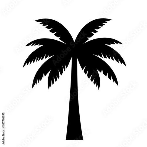 Black palm tree silhouette isolated on transparent background. Tropical palm illustration ideal for beach themes, summer designs, travel graphics, logos, and coastal decorations.