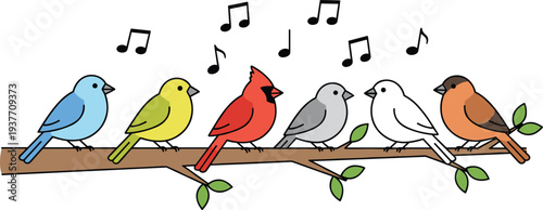 Colorful singing birds illustration, musical harmony artwork, diverse bird species drawing, cheerful nature scene, creative branch design, playful wildlife art