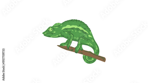 Green Chameleon Lizard Sitting on a Branch
