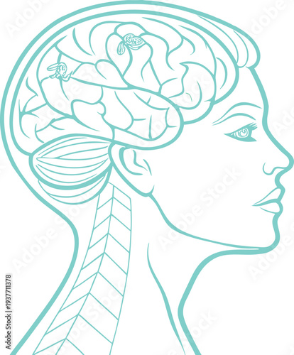 illustration of human head with brain