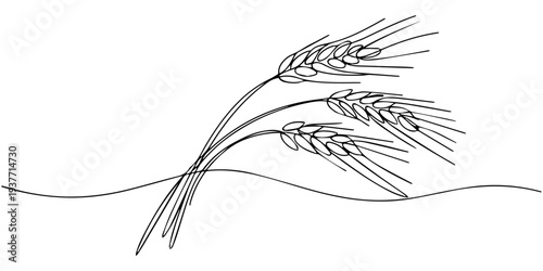 One continuous line. Spikelet of wheat. Spikelet of a cereal plant. Flat minimal icon. One continuous line on a white background, Ears of wheat one line drawing on white isolated background