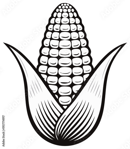 Black and white illustration of a corn cob with leaves