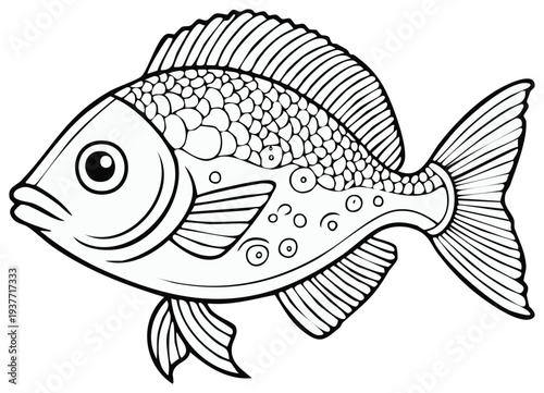 Detailed fish line art illustration for coloring book or activity page