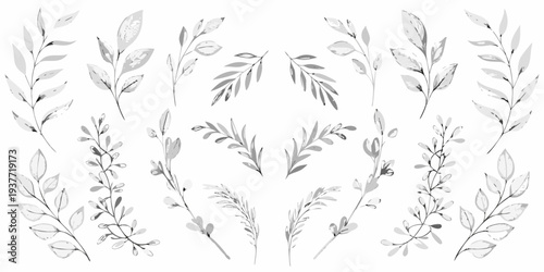 Delicate botanical illustration featuring various gray scale leaf arrangements