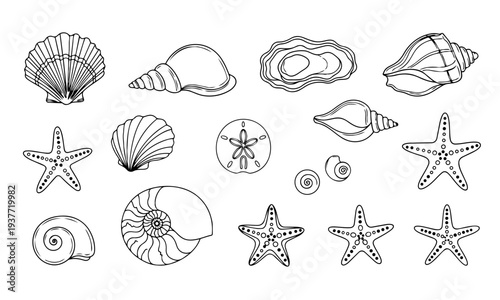 Seashell and Starfish Doodle Set – Hand Drawn Marine Shell Vector Collection