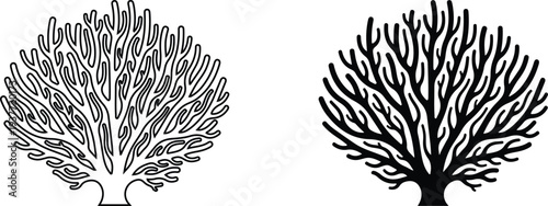 Coral branch vector illustration outline and silhouette isolated on white background