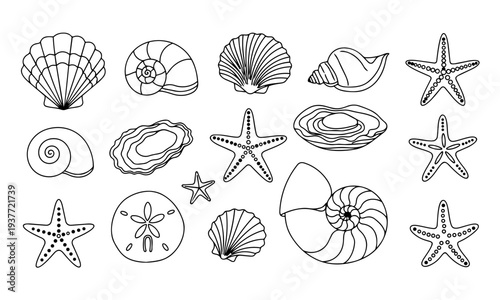 Seashell and Starfish Line Icon Set – Hand Drawn Marine Shell Vector Collection