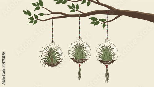 Beautiful tillandsia air plants displayed in round glass terrarium ornaments suspended from a tree branch in a tranquil setting.