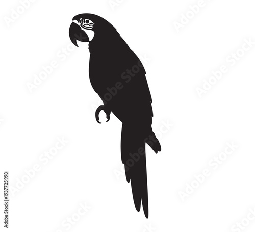 Minimalist vector graphic depicting a tropical parrot silhouette, embodying the exotic charm and natural grace, ideal for diverse design projects and branding