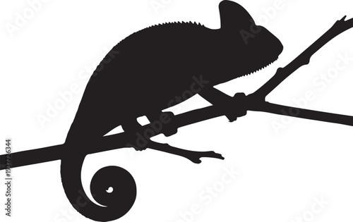 Silhouette of a chameleon perched on a tree branch, showcasing its unique coiled tail and distinct body shape against a clean white background, a perfect representation of reptilian life