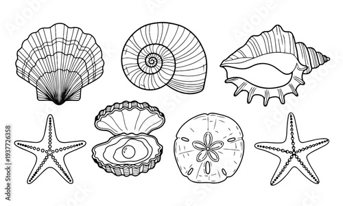 Seashell and Starfish Line Art Set – Nautilus, Scallop and Sand Dollar Marine Vector