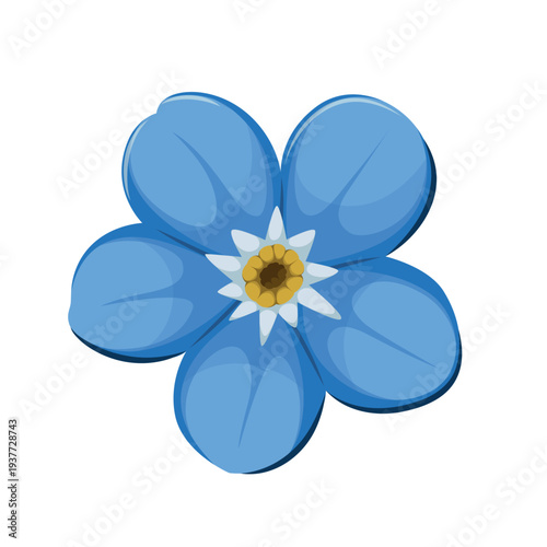 Forget me not flower on a white background. Vector.

