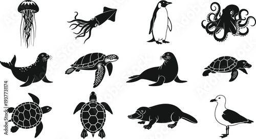 Marine animals silhouettes collection including jellyfish, squid, penguin, octopus, seal, turtle and platypus, ocean wildlife vector set for aquatic nature illustration