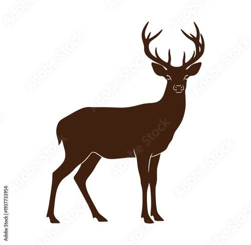 brown deer with large antlers standing on white background looking forward