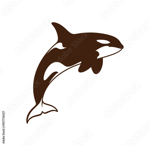 Brown orca jumping out of water in a dynamic swimming motion sideways to the right  marine wildlife illustration