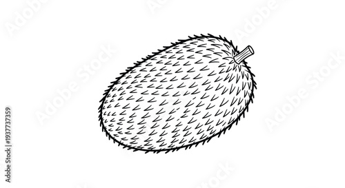 Detailed black and white line art illustration of a whole jackfruit with its prickly outer skin on white background.