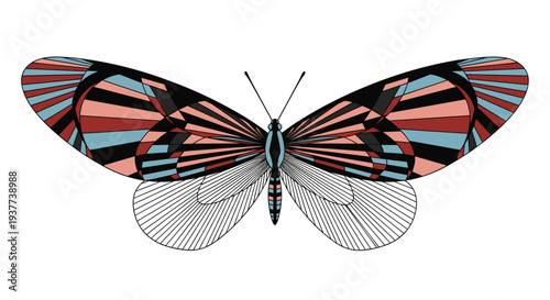 Butterfly with large red, blue, and black striped upper wings and transparent white lower wings is shown from a top-down view.