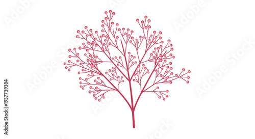 Delicate pink flowering branch with small round blossoms spreading out in a beautiful natural floral arrangement.