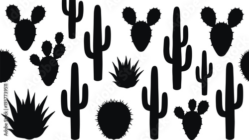 Desert cactus plants silhouettes set, succulent botanical collection with agave and prickly cactus vector illustration