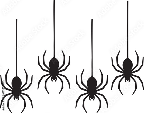 Spider hanging from a web silhouette vector