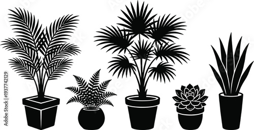 Tropical indoor plants silhouettes in pots set, palm monstera succulent houseplants vector illustration collection design