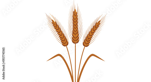 Three golden stalks of ripe wheat bundled together at the stem, representing harvest, agriculture, bread production, and autumn season bounty.