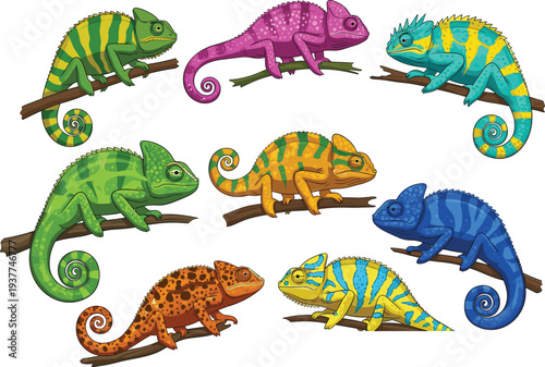 Colorful chameleon collection set on branches, diverse exotic lizard illustrations with vibrant patterns, tropical reptile vector graphics for nature designs.